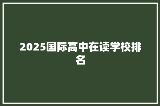 2025国际高中在读学校排名 综述范文