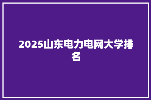 2025山东电力电网大学排名