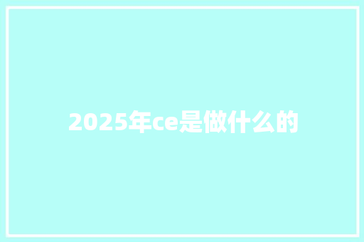 2025年ce是做什么的