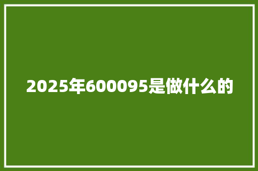 2025年600095是做什么的 致辞范文