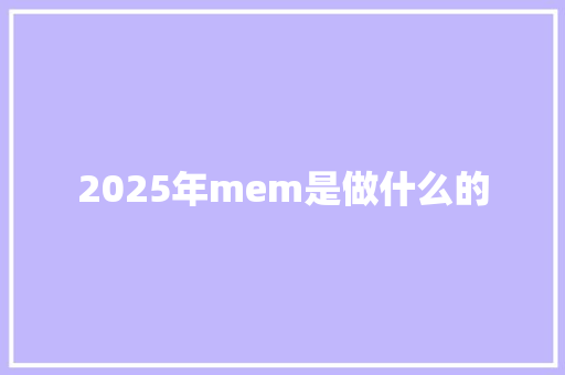 2025年mem是做什么的