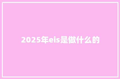 2025年eis是做什么的 工作总结范文