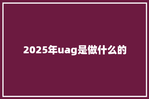 2025年uag是做什么的