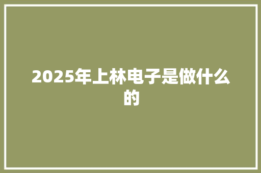 2025年上林电子是做什么的