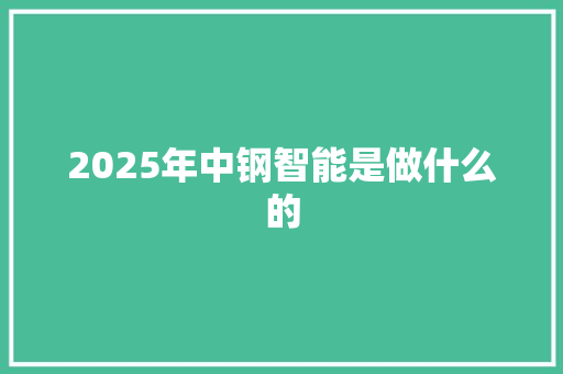 2025年中钢智能是做什么的