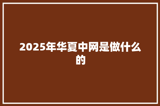 2025年华夏中网是做什么的 论文范文