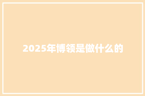 2025年博领是做什么的