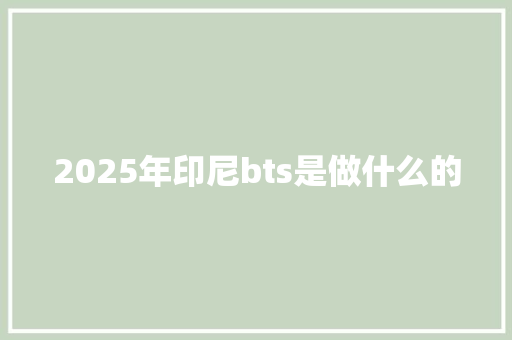 2025年印尼bts是做什么的