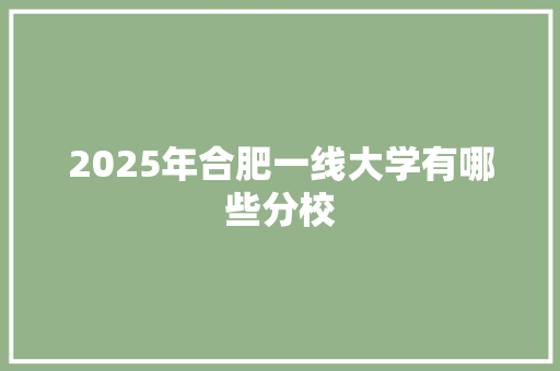 2025年合肥一线大学有哪些分校