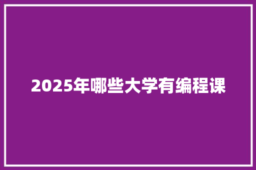 2025年哪些大学有编程课