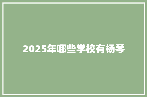 2025年哪些学校有杨琴 学术范文