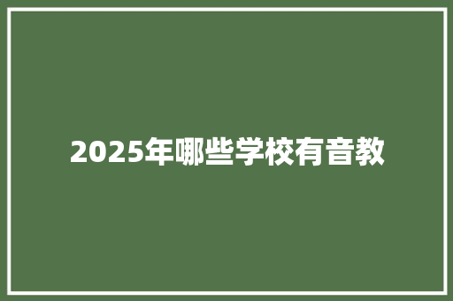 2025年哪些学校有音教