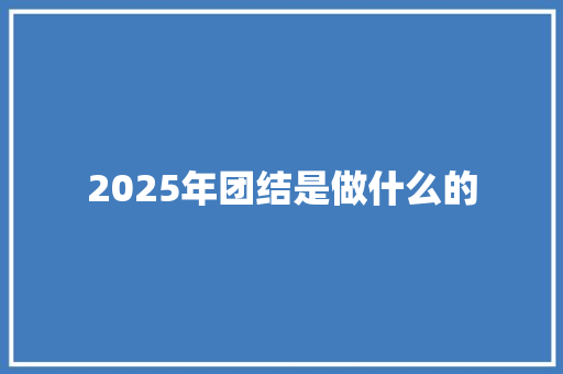 2025年团结是做什么的