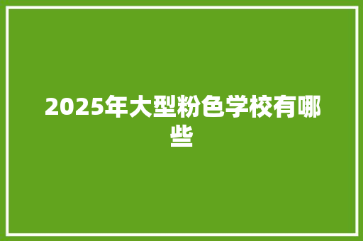 2025年大型粉色学校有哪些