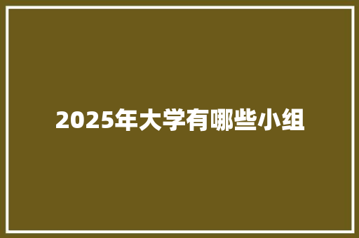 2025年大学有哪些小组