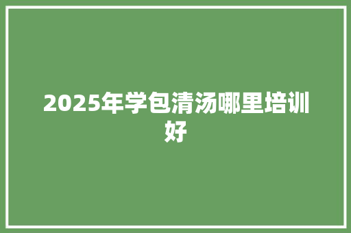 2025年学包清汤哪里培训好