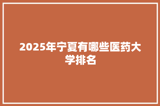 2025年宁夏有哪些医药大学排名