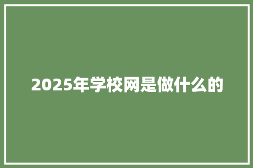 2025年学校网是做什么的 申请书范文