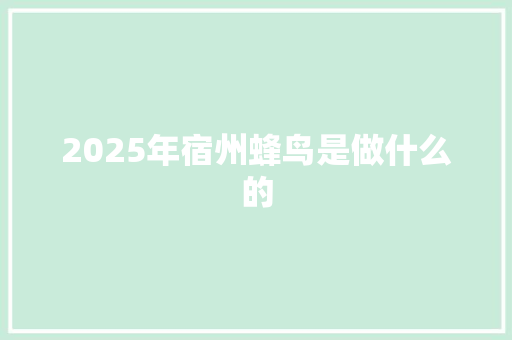 2025年宿州蜂鸟是做什么的