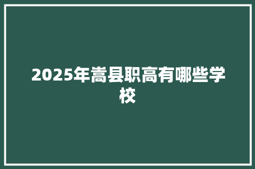 2025年嵩县职高有哪些学校