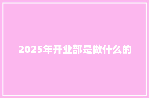 2025年开业部是做什么的 工作总结范文