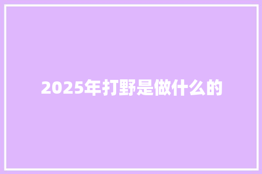 2025年打野是做什么的