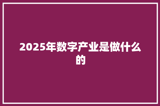 2025年数字产业是做什么的 申请书范文