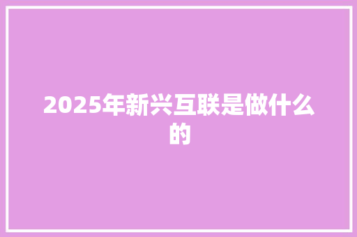 2025年新兴互联是做什么的