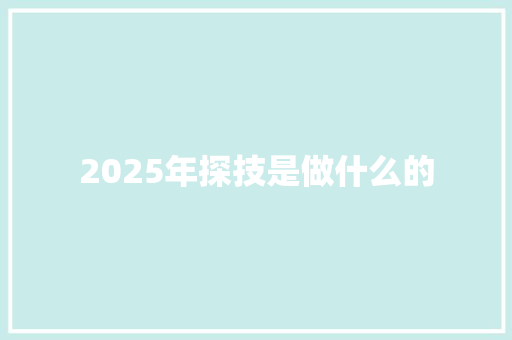 2025年探技是做什么的