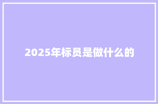 2025年标员是做什么的