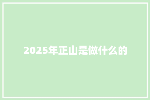 2025年正山是做什么的