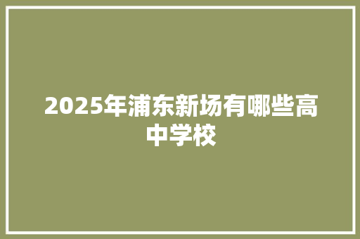 2025年浦东新场有哪些高中学校