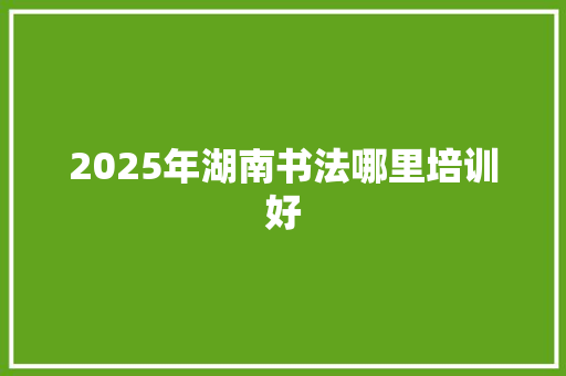 2025年湖南书法哪里培训好 商务邮件范文