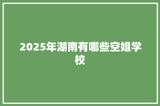 2025年湖南有哪些空姐学校