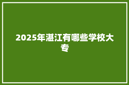 2025年湛江有哪些学校大专