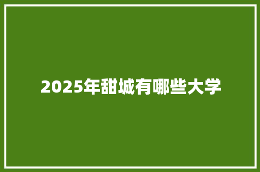 2025年甜城有哪些大学