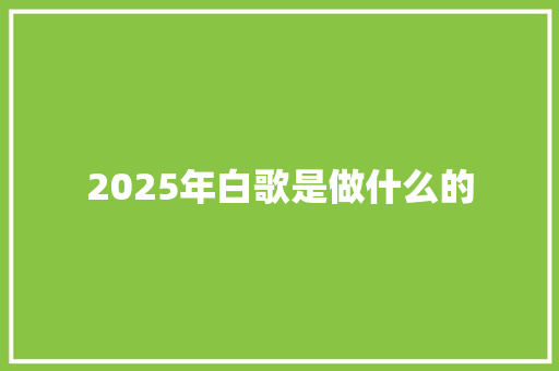 2025年白歌是做什么的