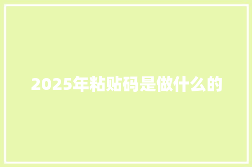 2025年粘贴码是做什么的 职场范文