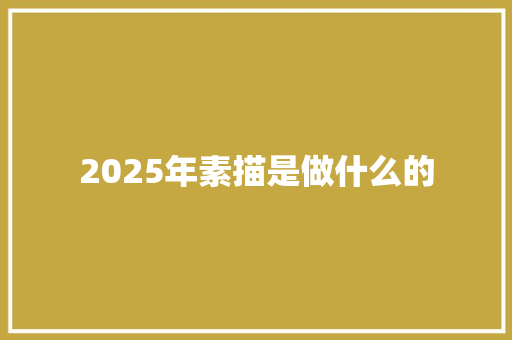 2025年素描是做什么的