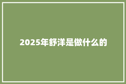 2025年舒洋是做什么的