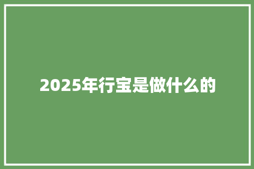 2025年行宝是做什么的 学术范文