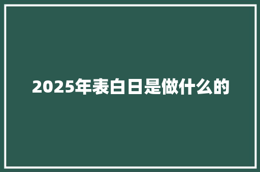 2025年表白日是做什么的 会议纪要范文