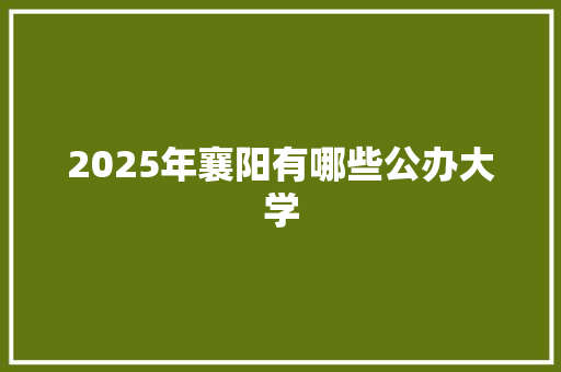 2025年襄阳有哪些公办大学 职场范文