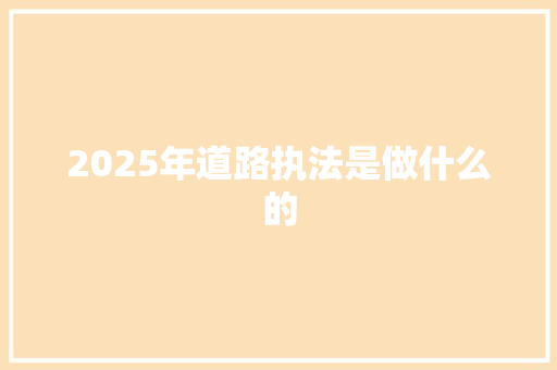 2025年道路执法是做什么的