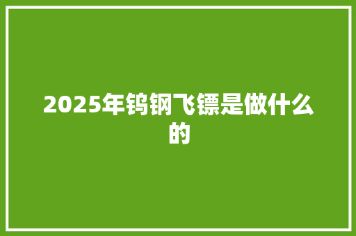 2025年钨钢飞镖是做什么的