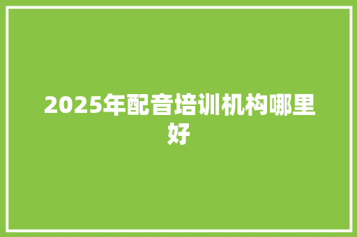 2025年配音培训机构哪里好 学术范文