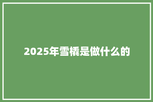 2025年雪橇是做什么的