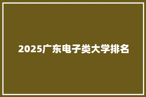 2025广东电子类大学排名