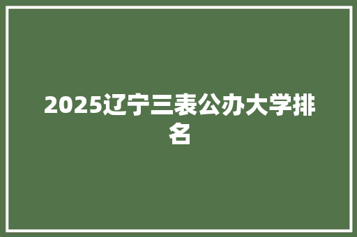 2025辽宁三表公办大学排名 工作总结范文