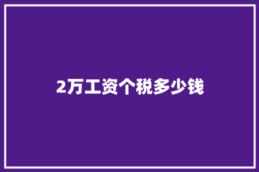 2万工资个税多少钱 申请书范文